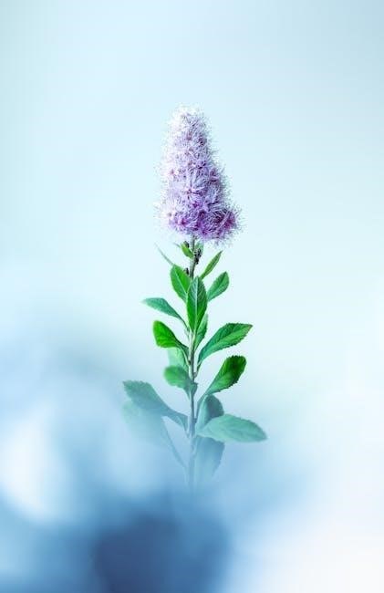 encyclopedia of magical herbs pdf