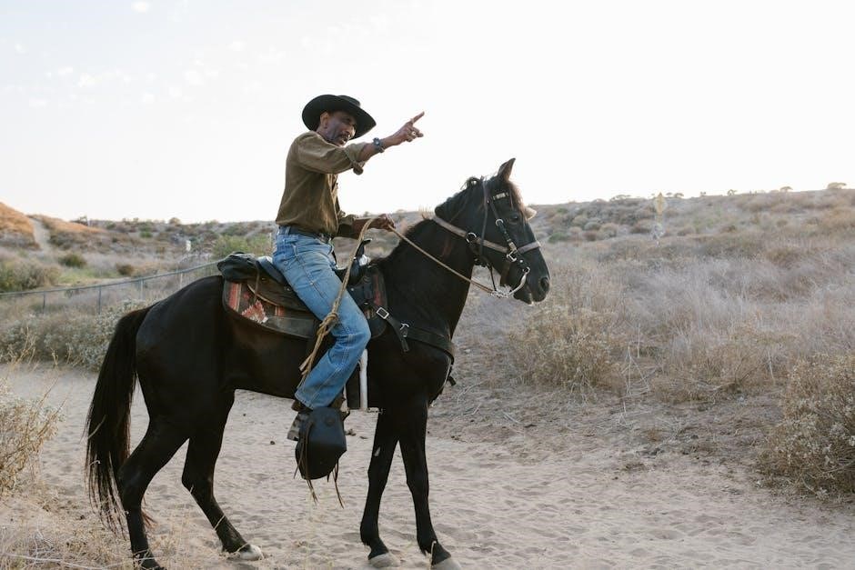 ariat men’s jeans fit guide